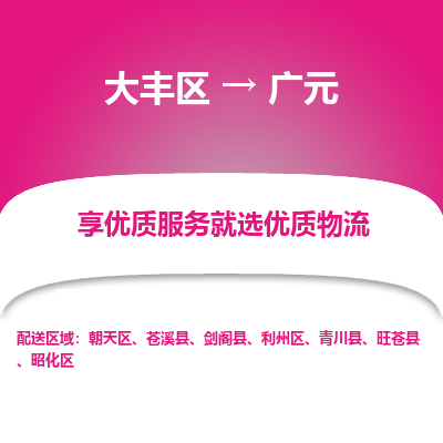 大丰到广元物流专线-大丰区至广元货运公司