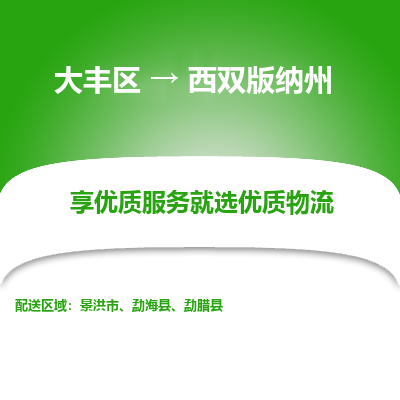 大丰到西双版纳州物流专线-大丰区至西双版纳州货运公司